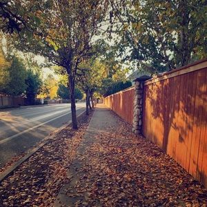 Meet your Posher, PT